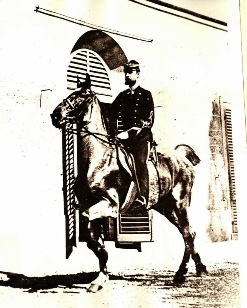 My wife gave me this. Comedy by Adam Ferrara. #comedy #laugh #funny #fyp  #lol #humor #horse horses #veternarian So here is a few things you may (or  may not) remember me from: Top Gear USA Rescue Me ..., image size:819x1023