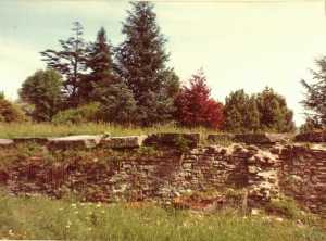 Ruins of the Tower of Laderchio
